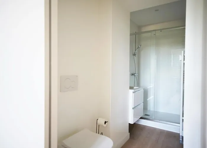 Centre - Jet D'eau - T2 Grande *