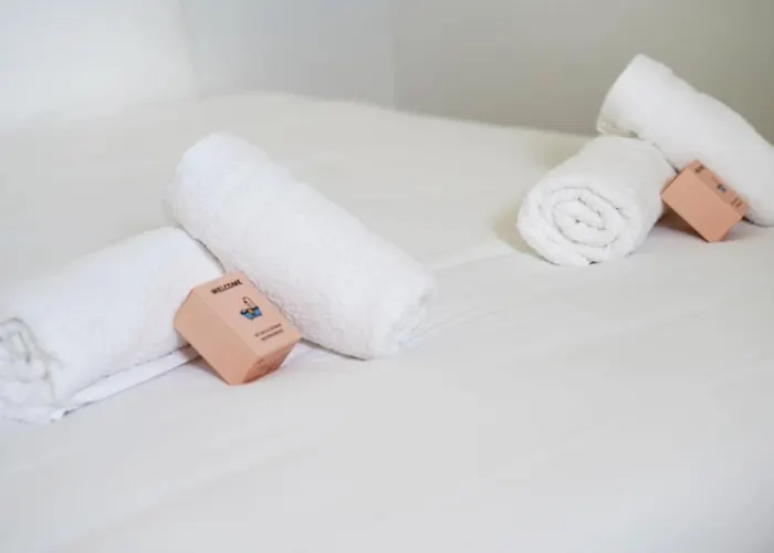 Centre - Jet D'eau - T2 Grande 莱萨布勒-多洛讷